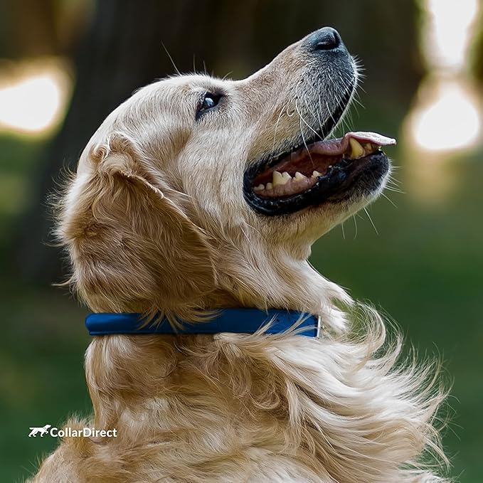 CollarDirect Rolled Leather Dog Collar, Soft Padded Round Puppy Collar, Handmade Genuine Leather Collar Dog Small Large Cat Collars 13 Colors (12-15 Inch, Dark Blue Textured)