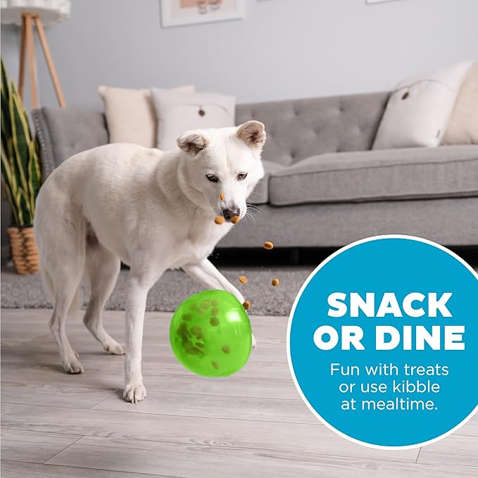 Outward Hound by Planet Dog Snoop Interactive Treat Dispensing Dog Toy, Large, Green