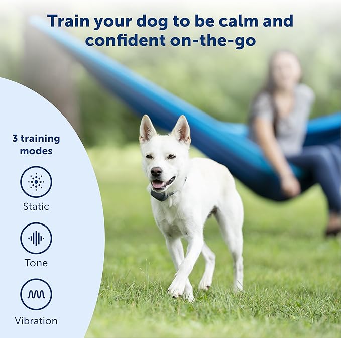 PetSafe 300 Yard Remote Training Collar - 2 Dog Kit - Tone, Vibration & 15 Levels of Safe & Humane Static Stimulation, Medium Range Option to Train Off Leash Dogs, Waterproof, Durable, Rechargeable