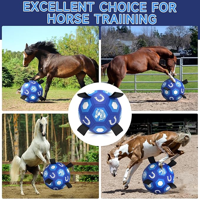 QDAN Herding Dog Balls Horse Ball, 18 inch Horse Toys Herding Ball for Dogs, Large Giant Ball Toys for Australian Shepherd Dog Toys, Blue