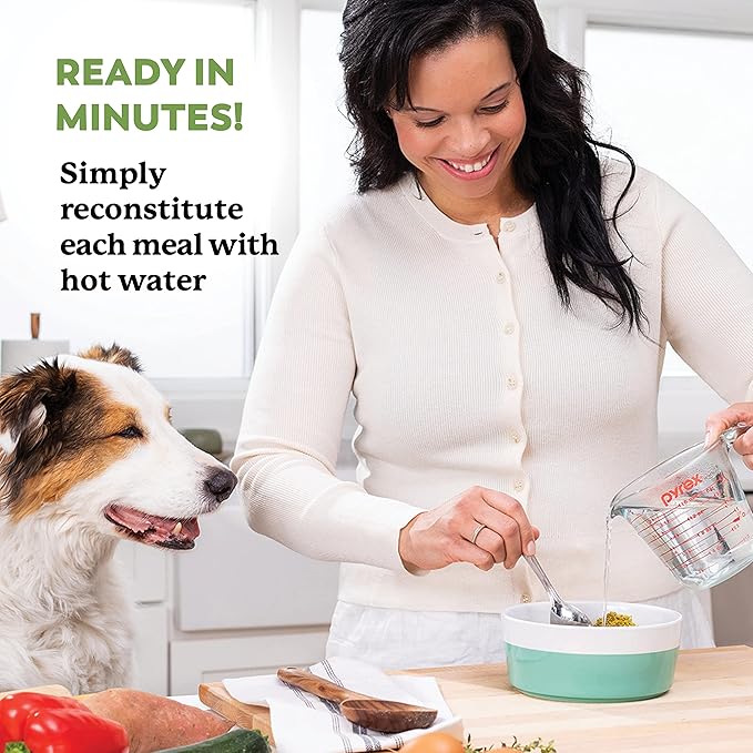 Dr. Harvey's Beef & Garden Veggies Dog Food, Human Grade Grain-Free Dehydrated Food for Dogs with Freeze-Dried Beef, Trial Size (5.5 Oz)