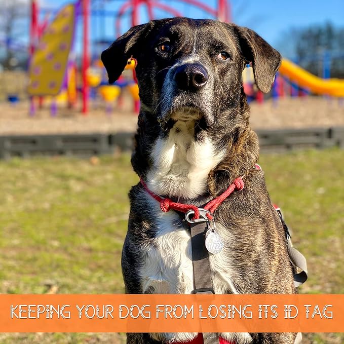 18 Pieces Leash Dog Tag Clip Pet ID Tag Pet Tag Clip Quick Clip Combos Pet ID Tag with Rings, Stainless Steel Quick Clips Pet ID Tag Holder for Dog Cat