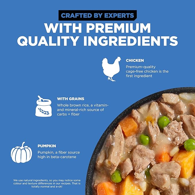Go! Solutions Skin + Coat Care, Wet Dog Food Shredded, Chicken Recipe with Grains for Sensitive Skin, 12.5 oz