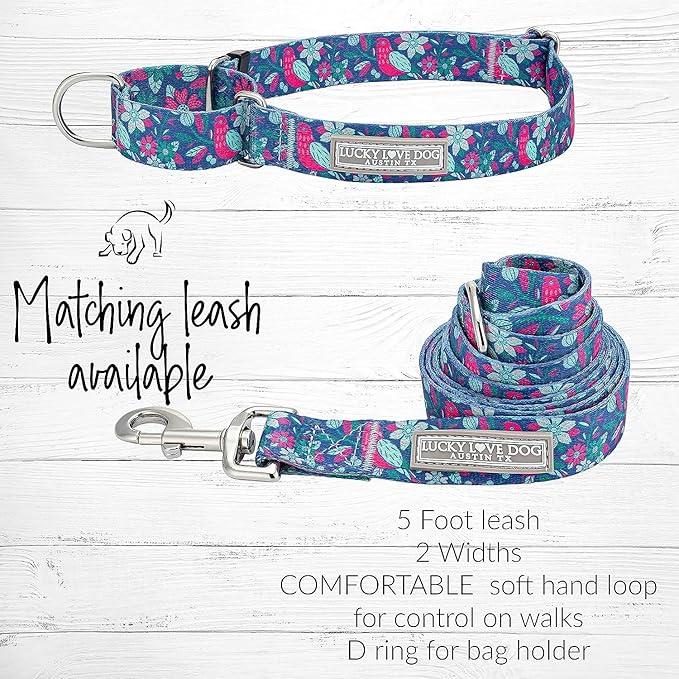Lucky Love Dog, Whimsical Bird Martingale Dog Collar and Leash Set, Vivid Pink, Mint, Blue Flowers Medium No Slip Dog Collar - (M, Carriebelle Mart - Combo)