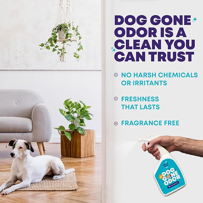Good Salt Pet Dog Gone Odor, Natural & Fragrance Free Scent Neutralizer Spray, Made in the USA, 32 Ounce Bottle