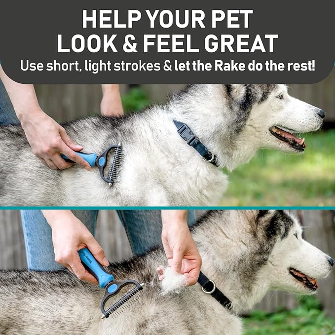 Maxpower Planet Pet Grooming Brush and 2X Grooming Gloves Combo - Double Sided Dematting, Deshedding Undercoat Rake for Dogs and Cats - Reduce Shedding Easily - Blue