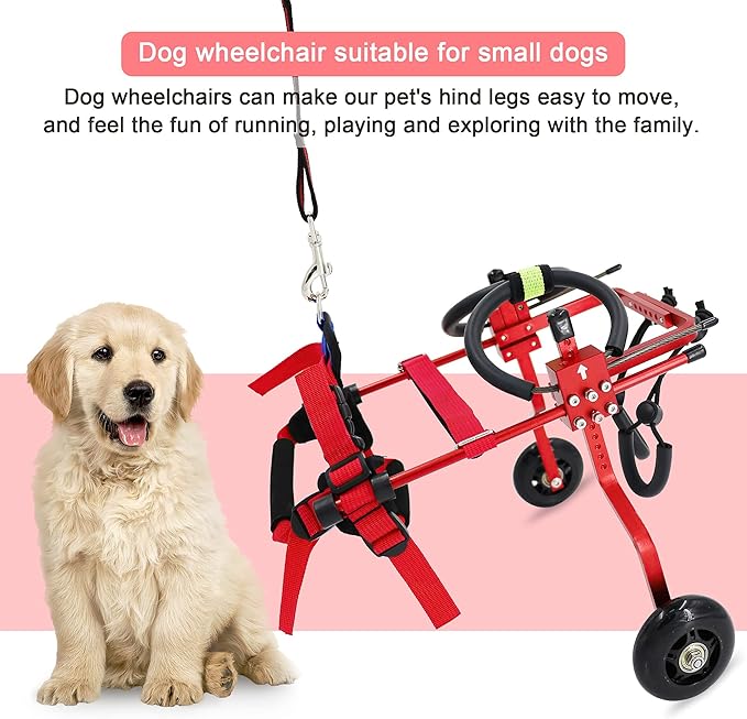 HobeyHove Adjustable Dog Wheelchair for Back Legs,Pet/Doggie Doggy Wheelchairs with Disabled Hind Legs Walking (XS-Red)