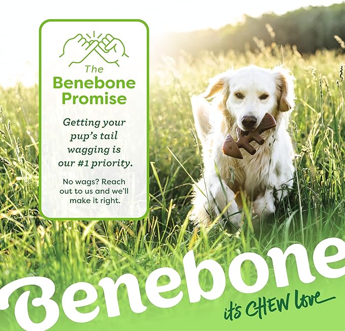Benebone Fishbone Durable Dog Chew Toy for Aggressive Chewers, Real Fish, Made in USA, Large