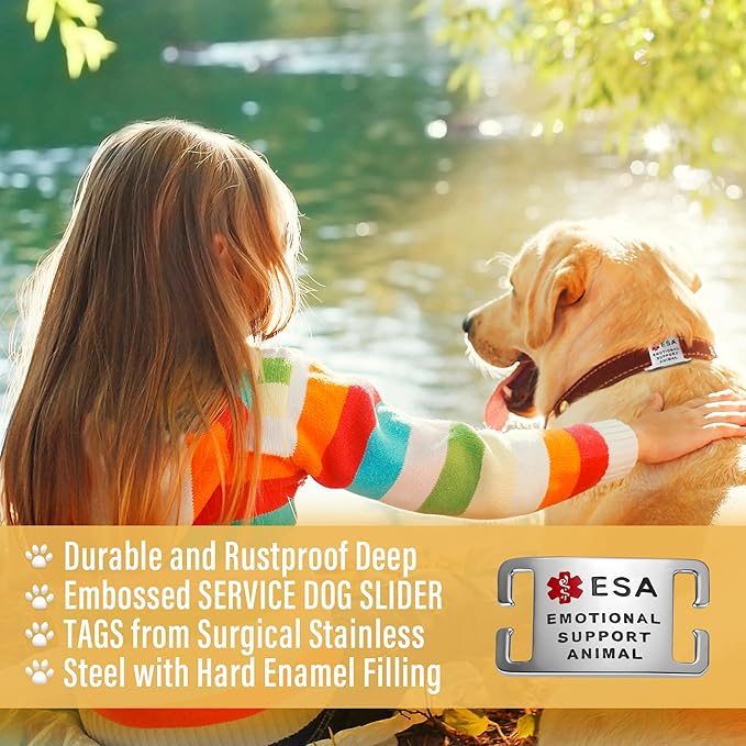 No Noise Stainless Steel K9 ESA Dog Tags, Slide on Dog Collar or Harness Quickly and Securely – PVD Gold/Large