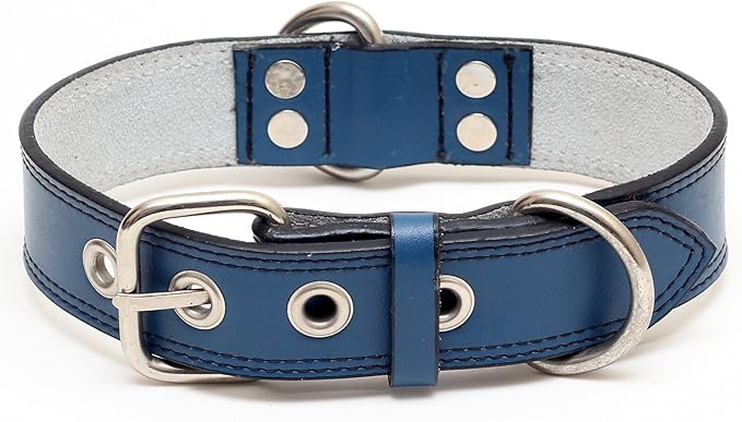 Premium Leather Collars with Stainless Steel Buckles (21"-24", Blue)