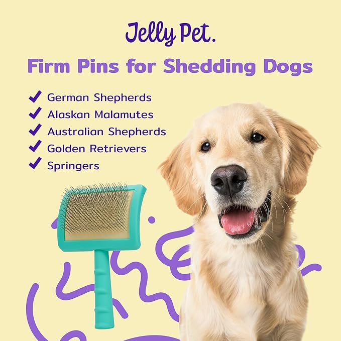 Jelly Pet Universal Slicker Brush for Dogs, Dog Grooming Brush, Remove Tangles and Dead Undercoat, Tuffer Than Tangles, Maltese Shi-Tzu Poodle Bichon, Firm Pins, Teal, Small