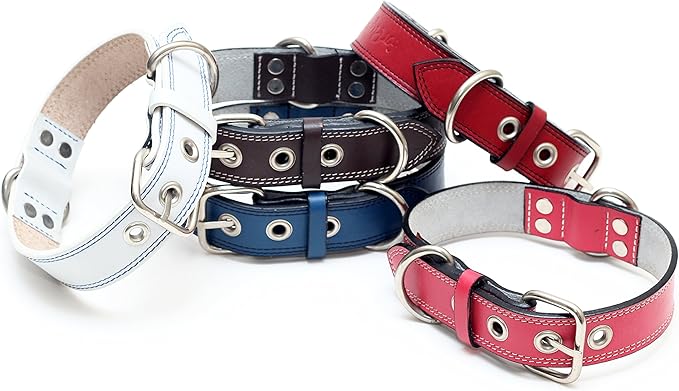 Premium Leather Collars with Stainless Steel Buckles (15"-18", Chocolate)