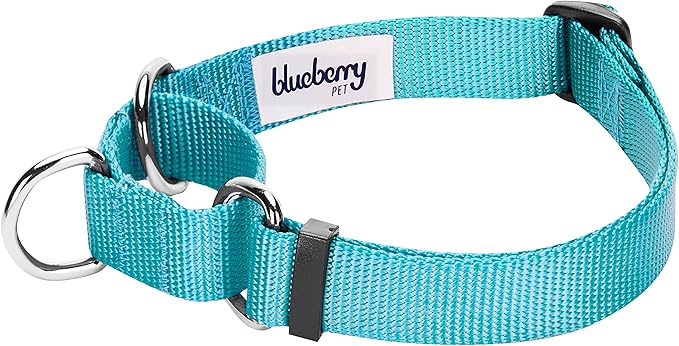 Blueberry Pet Essentials Martingale Safety Training Dog Collar, Turquoise, Small, Heavy Duty Nylon Adjustable Collars for Dogs