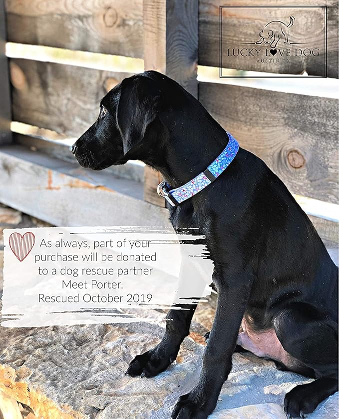 Lucky Love Dog Dog Collar, Leash Set Small, Medium, Large, Premium, Cute and Adjustable Collars for Male and Female Dogs, Winterblue Combo, Large