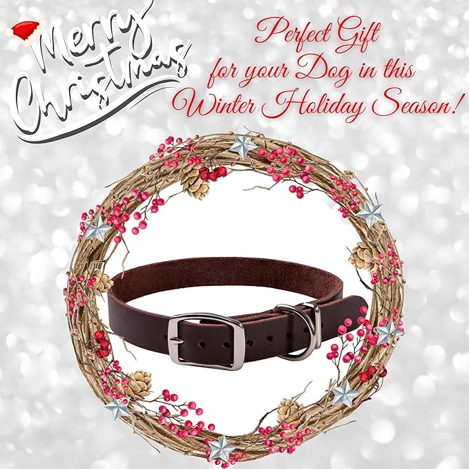 Adityna - Leather Dog Collar for Large Dogs - Classic Style, Soft and Strong, Heavy-Duty Top-Grain Leather Collar for Walking, Training, Hunting, and Running (L - Neck: 19-24 inches, Brown)