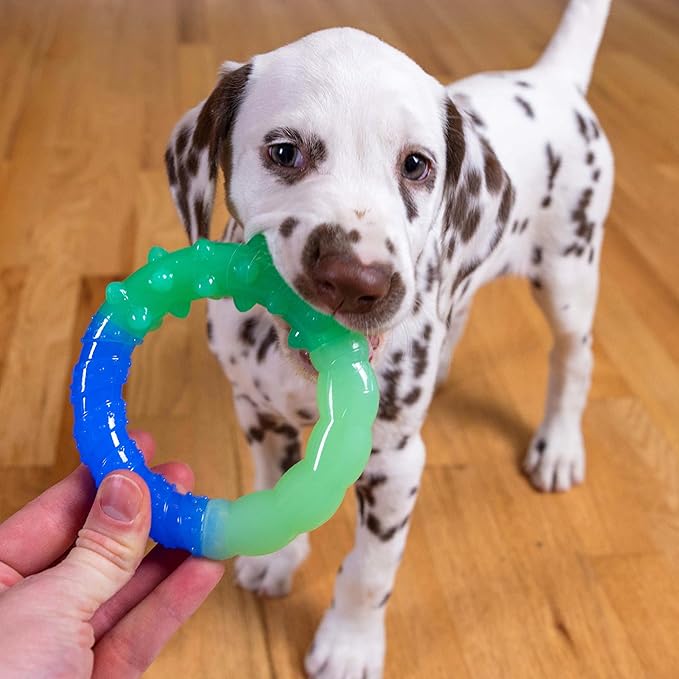 Petstages Orka Grow-with-Me-Ring Dog Chew Toy