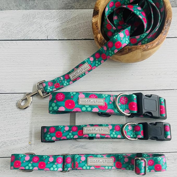 Lucky Love Dog Combo Set, Dog Collar & Leash Set for X-Small Dogs, Colorful Matching Collar and Leash Set for Girl or Boy Dogs, Stripes Penny Combo, XS