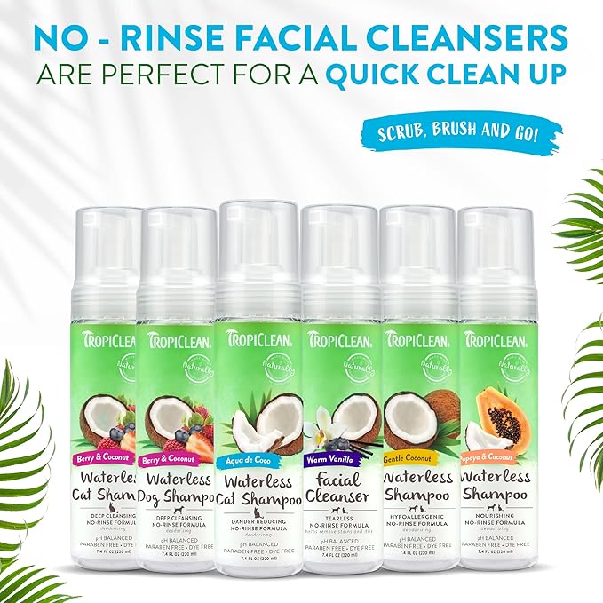 TropiClean No Rinse Waterless Cat Shampoo | Dandruff Treatment | Moisturizing Dry Shampoo for Dry Skin | USA Made | Aqua de Coco Scent | 7.4oz.