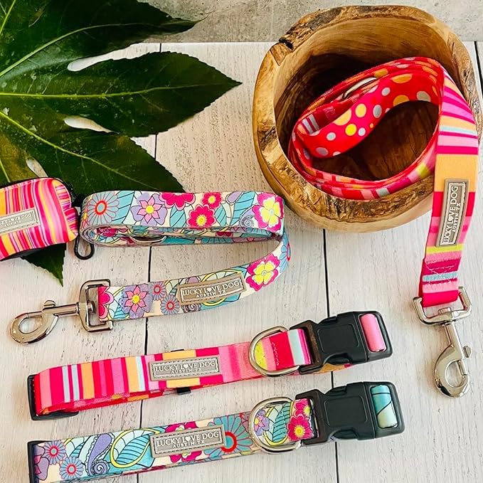 Lucky Love Dog, Colorful Stripes Dog Collar, Yellow, Pink, Blue Color Dog Collar, Cute Dog Collar for Girl Dogs - (Large, Molly Collar)