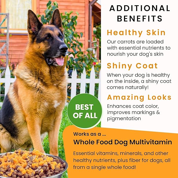 Olewo Original Carrots for Dogs – Fiber for Perfect Poop, Dehydrated Dog Food Toppers for Picky Eaters, Natural Skin & Coat Support, Multivitamin, Probiotics for Digestive & Gut Health, 1 lb