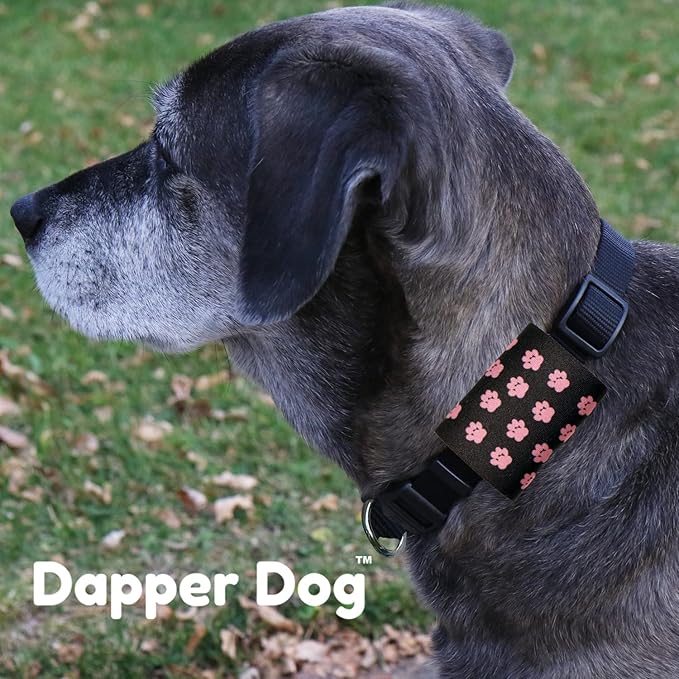Dapper Dog Pet Tag Silencer and AirTag Holder (Black with Small Pink Paws)
