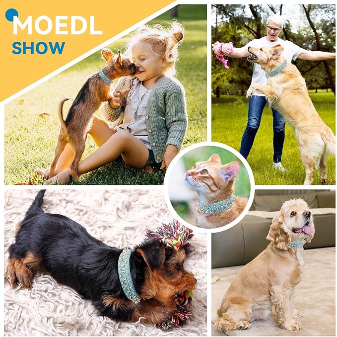 PETCARE Spiked Dog Collar Blue Soft Pu Leather Funny Mushrooms Rivet Spike Studded Puppy Collar Adjustable Outdoor Pet Dog Collar for Small Medium Large Dogs Cats Chihuahua Pug Pit Bull Dog Collars