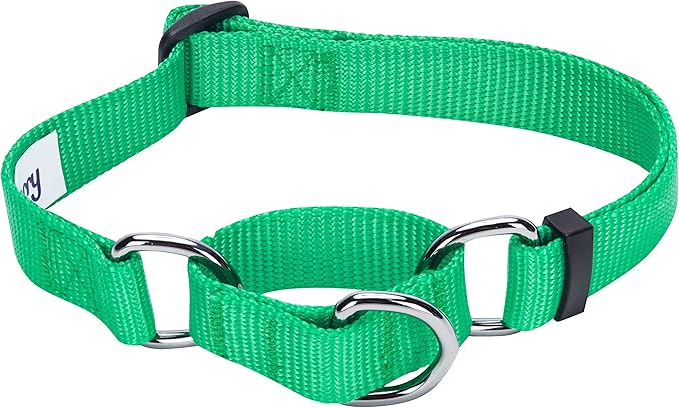 Blueberry Pet Essentials Martingale Safety Training Dog Collar, Emerald, Medium, Heavy Duty Nylon Adjustable Collars for Dogs