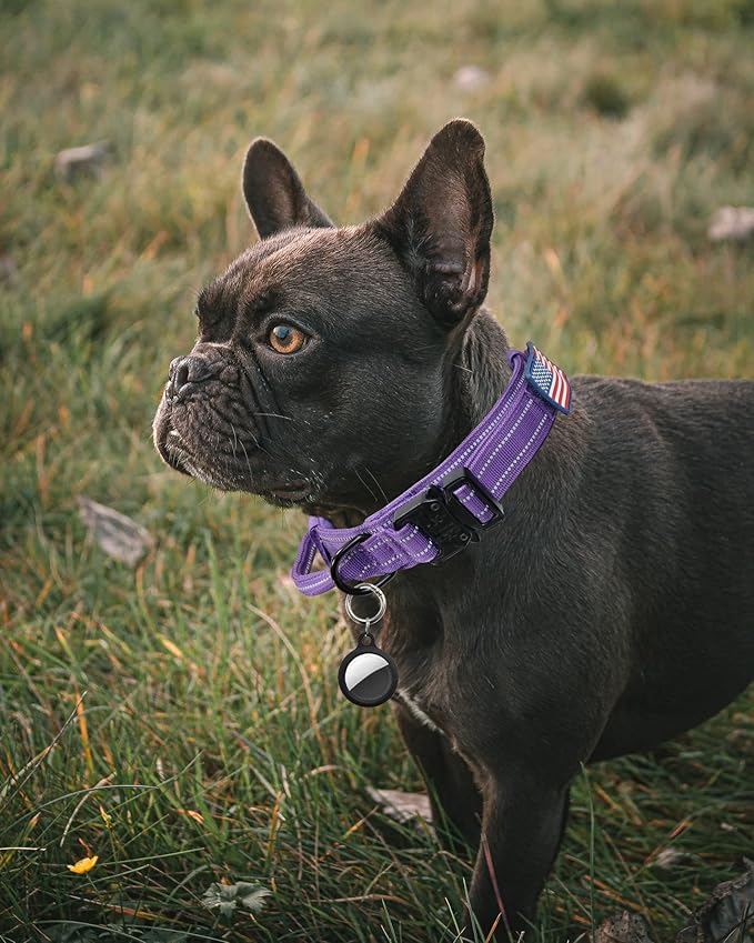 AUBELL Reflective Dog Collar, Tactical Dog Collar for Large Dogs, Heavy Duty Dog Collars with Control Handle and Metal Buckle for Medium Dogs, with Airtag Case and 2 Patches (Purple, L)