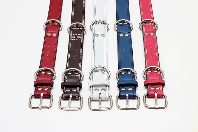 Premium Leather Collars with Stainless Steel Buckles (18"-21", Chocolate)