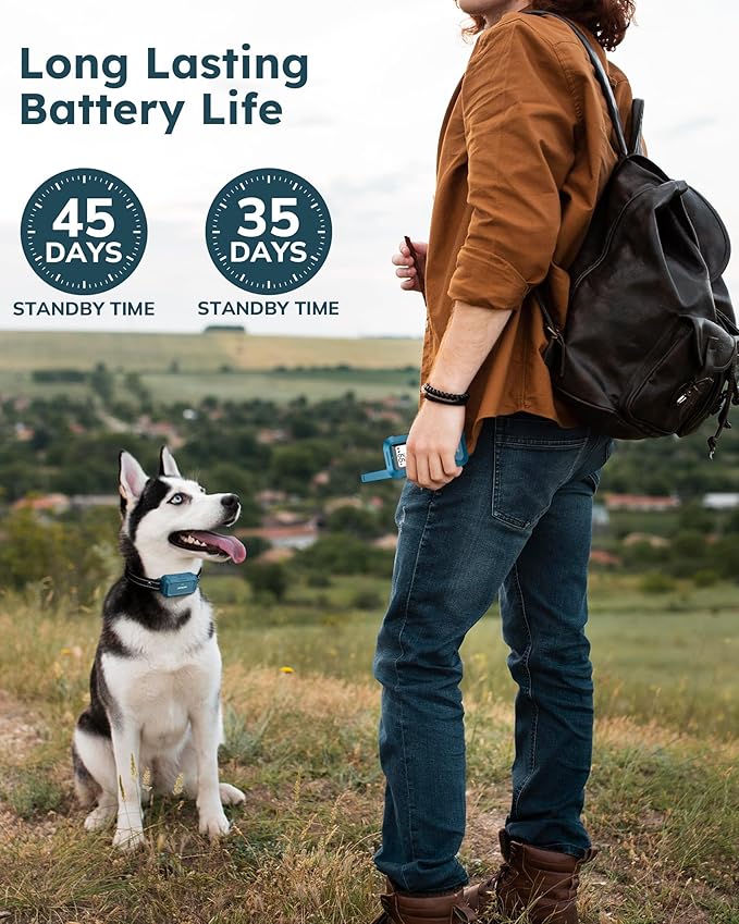 Jugbow Dog Shock Collar 2 Dogs - 4200FT Dog Training Collar with Remote, IPX7 Waterproof E Collar for Dogs Training Rechargeable Collars for Large Medium Small Dogs