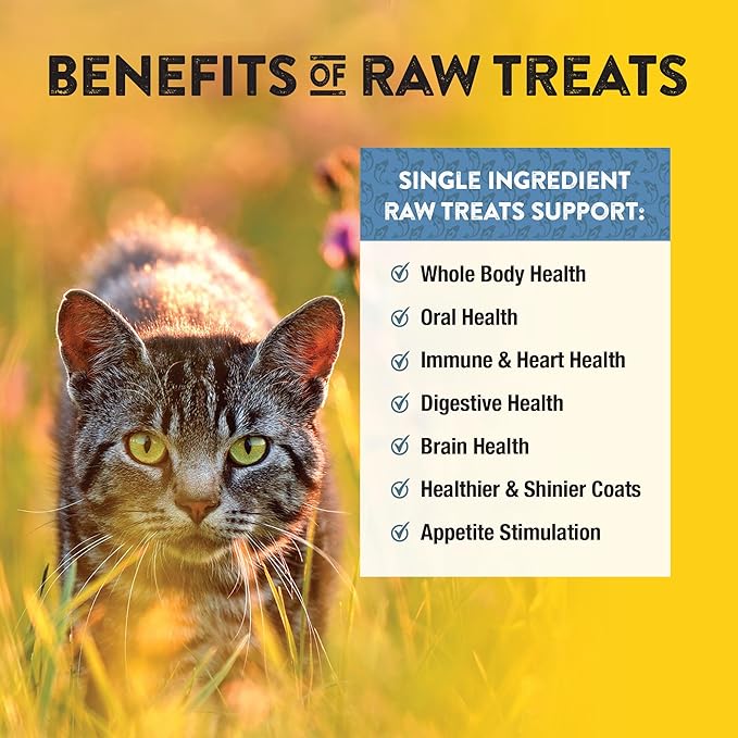 Northwest Naturals Raw Rewards Freeze-Dried Whitefish Treats for Dogs and Cats - Bite-Sized Pieces - Healthy, 1 Ingredient, Human Grade Pet Food, All Natural - 10 Oz (Pack of 3)