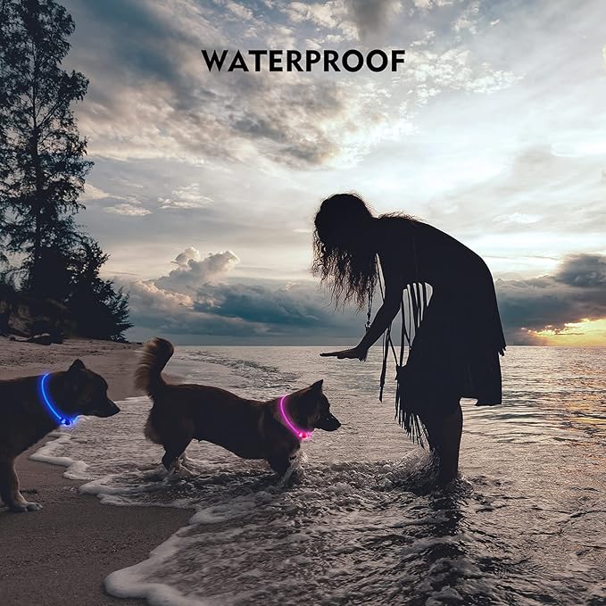 LED Dog Collar, Rechargeable Light Up Dog Collars,IP67 Waterproof Dog Lights for Night Walking,Adjustable, Reusable Safety Necklace for Small Medium Large Dogs(Blue)