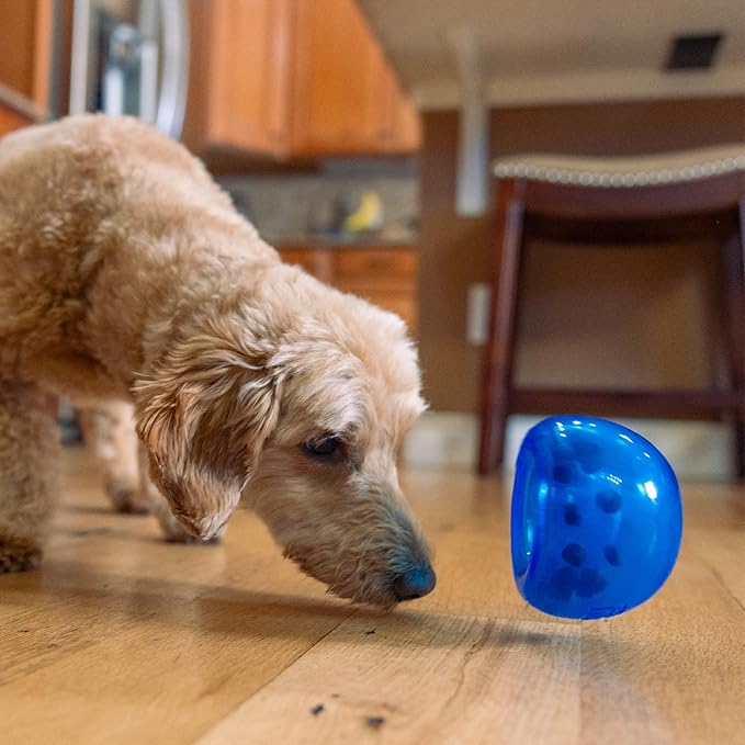 Outward Hound by Planet Dog Lil' Snoop Interactive Treat Dispensing Dog Toy, Small, Royal Blue