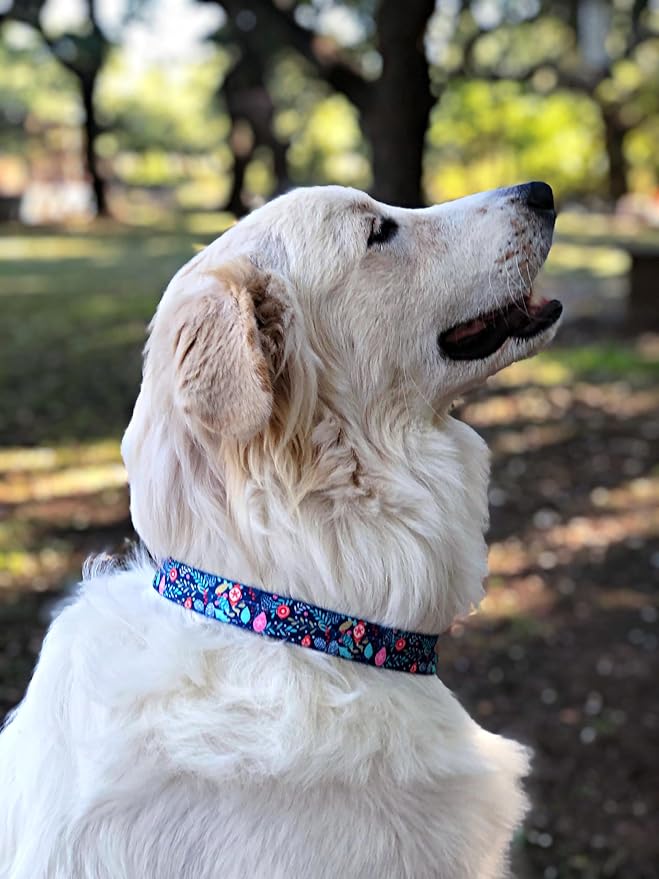 Lucky Love Dog, Blue Winter Pinecones Dog Collar and Leash Set, Vivid Winter Ornaments Dog Collar and Leash for Girl or Boy Dogs - (Extra Small, SweetHoliday Combo)