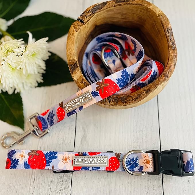 Lucky Love Dog Collars, Strawberry Cute Girl Dog Collar, Small Dog Collars for Females, Part of Purchase Donated to Rescue (Small, Sweet Berry, Collar)