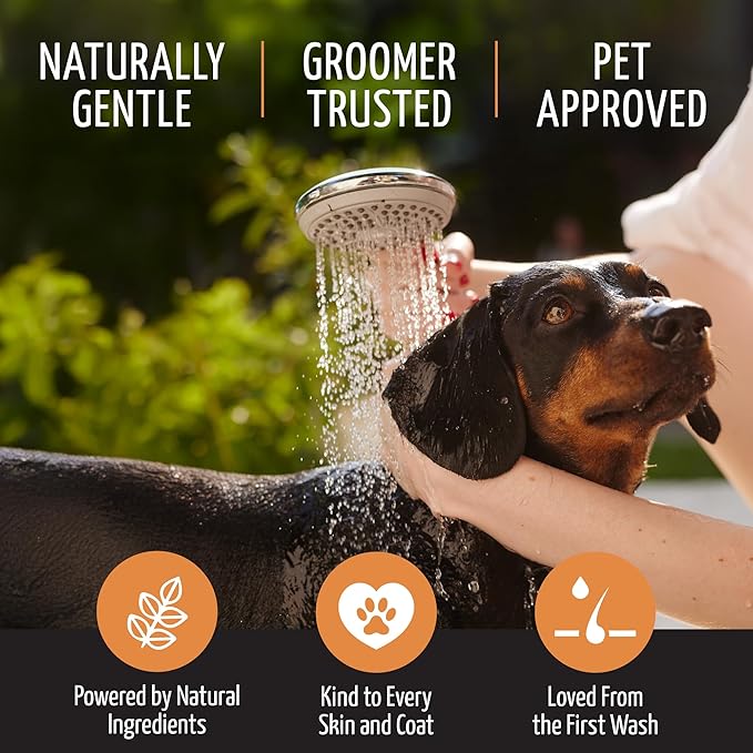 Moisturizing Dog Conditioner 5in1 - Allergy Dog and Cat Shampoo, Sulfate Parabens SLS Free Natural Composition Grooming Product with Essential Oils for Gentle Coat & Skin Deep Hydration, 13.5 Oz