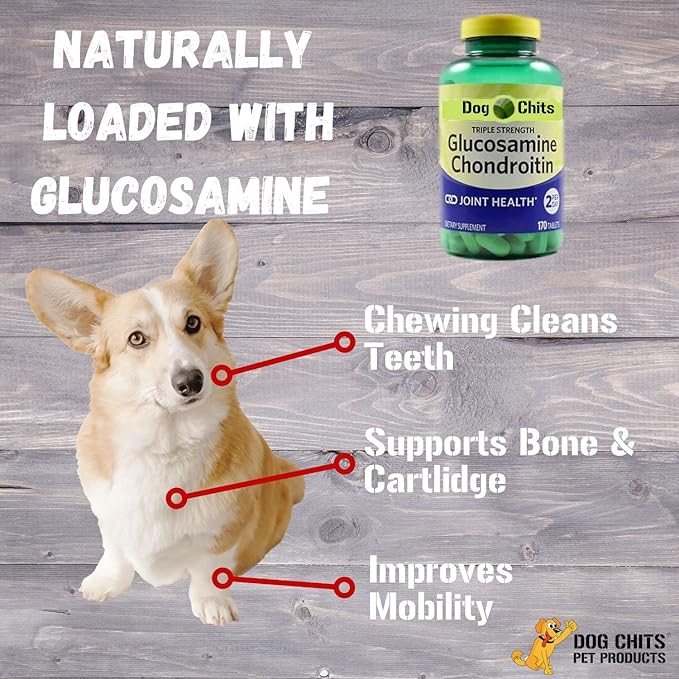 Dog Chits Lamb Esophagus for Dogs - Dog and Puppy Chews | Amazing for Joints | 12 in, 8 Pack | Made in USA | Large and Small Dogs | Nothing Added | Lots of Natural Glucosamine