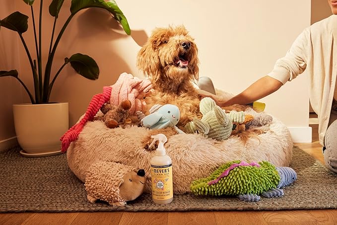 MRS. MEYER'S CLEAN DAY Pet Odor Neutralizer, Orange Blossom Scent, 16oz