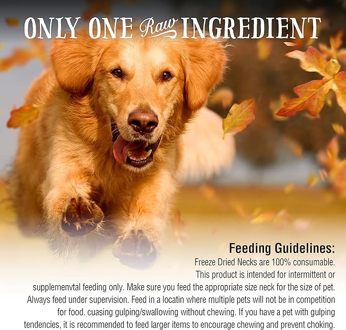 Northwest Naturals Raw Rewards Freeze-Dried Duck Neck Treats for Dogs and Cats - Whole Neck - Healthy, 1 Ingredient, Human Grade Pet Food, All Natural - 5 Oz