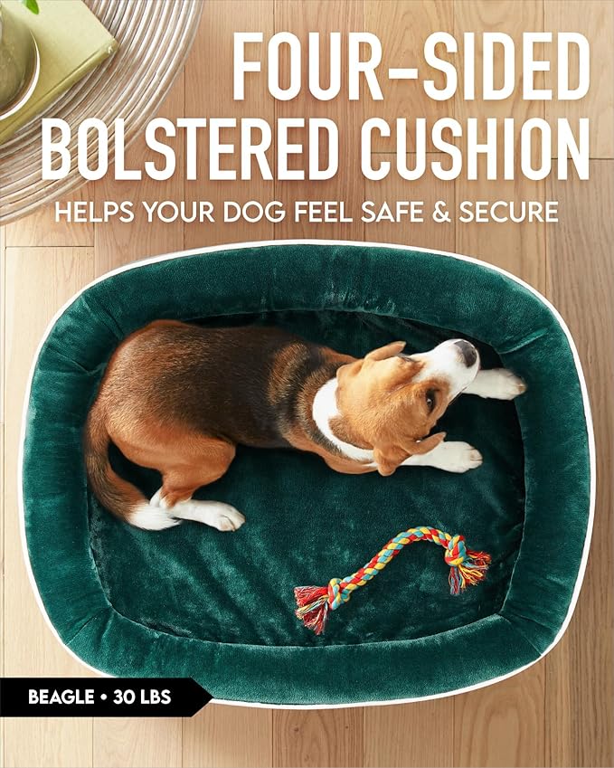 OhGeni Orthopedic Dog Bed for Large Dogs, Dog Couch Design with Egg Foam Support, Removable, Machine Washable Plush Cover and Non-Slip Bottom with Four Sided Bolster Cushion (Dark Green)