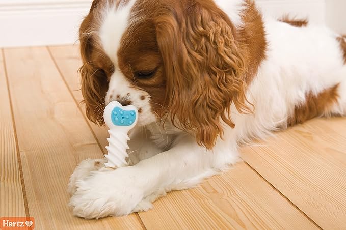 Hartz Chew ‘n Clean Twisty Bone Dog Chew Toy, Bacon Scented for Moderate Chewers, Extra Small
