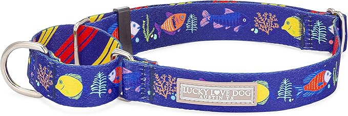 Lucky Love Dog Martingale Collar, Blue Color No Slip Collars for Small Dogs, Tropical Fish Pattern Martingale Dog Collar, Great for Whippets, Greyhounds, and More (Mackey, Small)