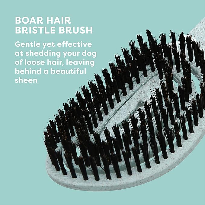 for Dogs Eco-Friendly Boar Hair Bristle Brush in Mint Green | Easy to Hold Ergonomic Handle Dog Brush for Shedding | Best Pet Brush for Dog Grooming