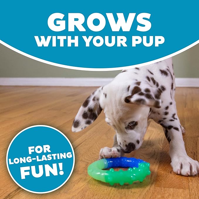 Petstages Orka Grow-with-Me-Ring Dog Chew Toy