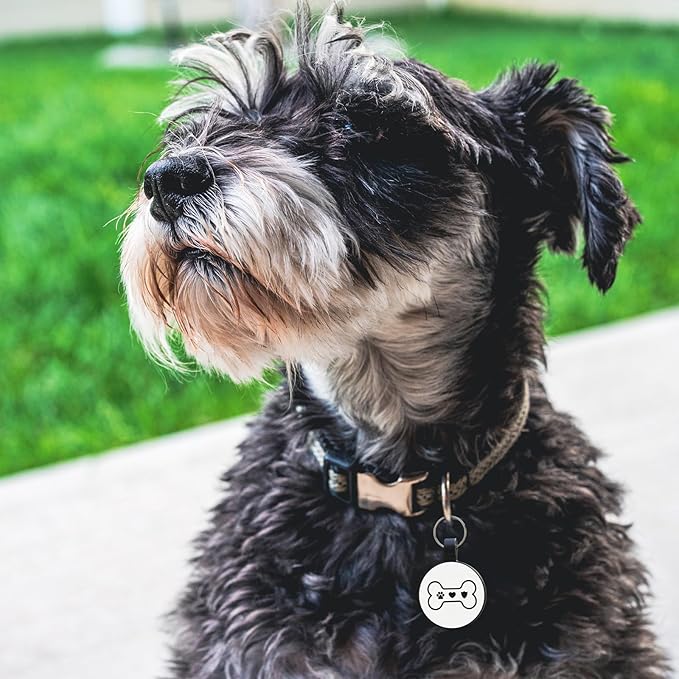 MYLUCKYTAG Silent Silicone QR Code Pet ID Tags Dog Tags - Pet Online Profile - Scan QR Receive Instant Pet Location Alert Email