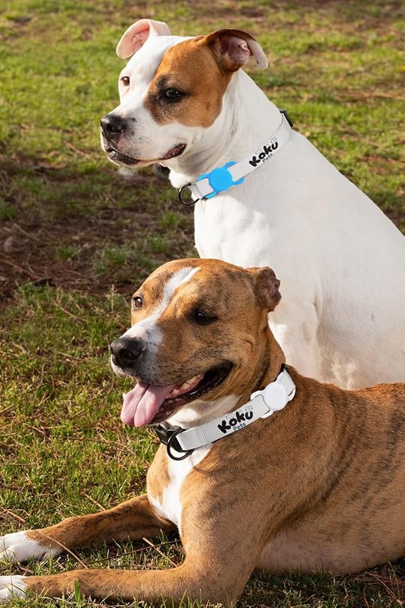 Dog Air Tag Holder (3-Pack) | Apple Air Tag GPS Tracker for Dogs | Airtag Dog Collar Holder | Airtag Holder for Dog Collar | Air Tag Holders | Black, White & Sky Light Blue