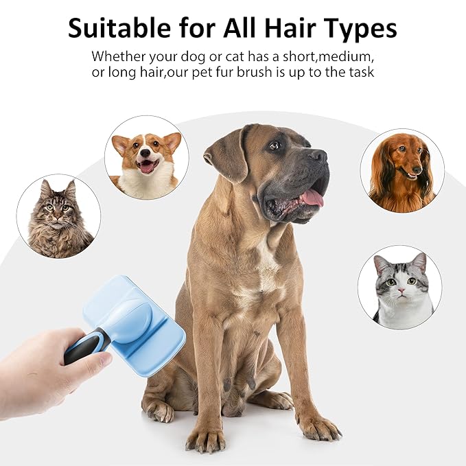 Dog & Cat Hair Brush,Self Cleaning Slicker Brush for Long Short Hair,Shedding & Grooming Pet Brush with Soft Bristle and Release Button,Blue