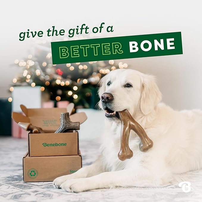 Benebone Small 4-Pack Dog Chew Toys for Aggressive Chewers, Made in USA, 30lbs and Under