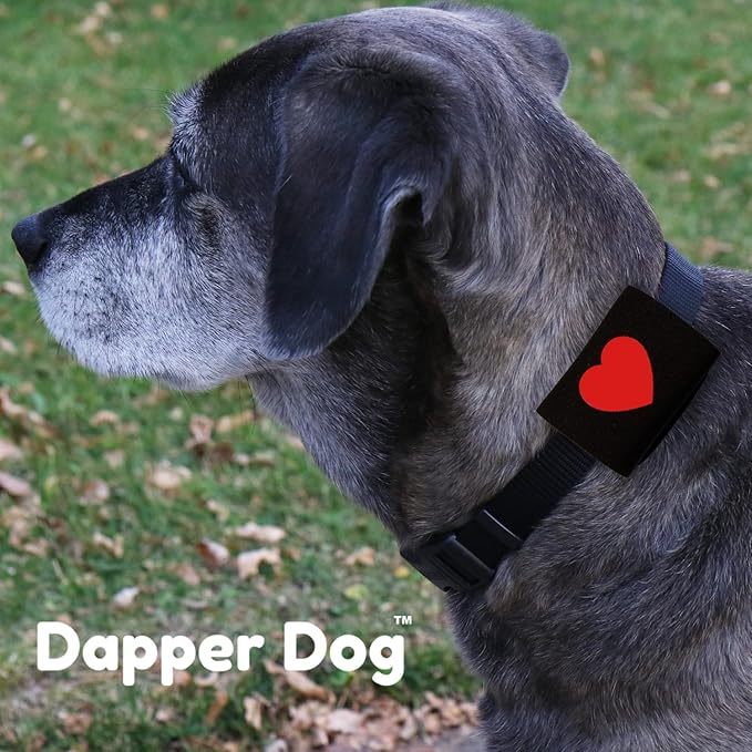Dapper Dog Pet Tag Silencer and AirTag Holder (Black with Red Heart)