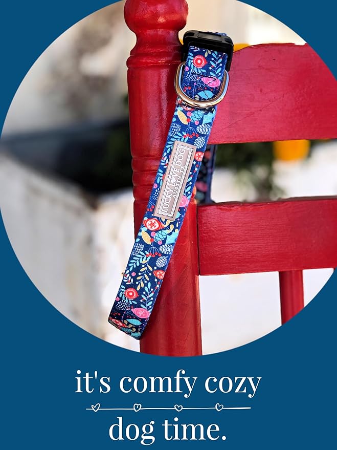 Lucky Love Dog, Blue Winter Pinecones Dog Collar and Leash Set, Vivid Winter Ornaments Dog Collar and Leash for Girl or Boy Dogs - (Extra Small, SweetHoliday Combo)